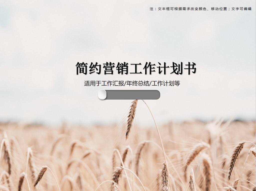 简约营销工作计划书PPT模板插图