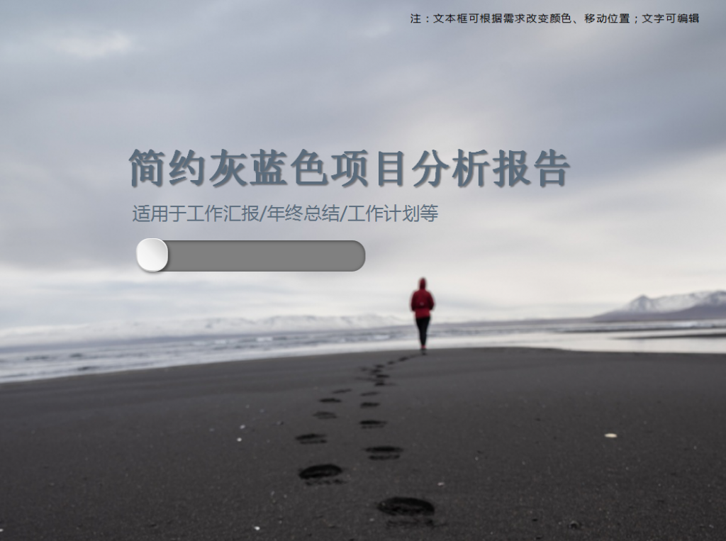 简约灰蓝色项目分析报告PPT模板插图
