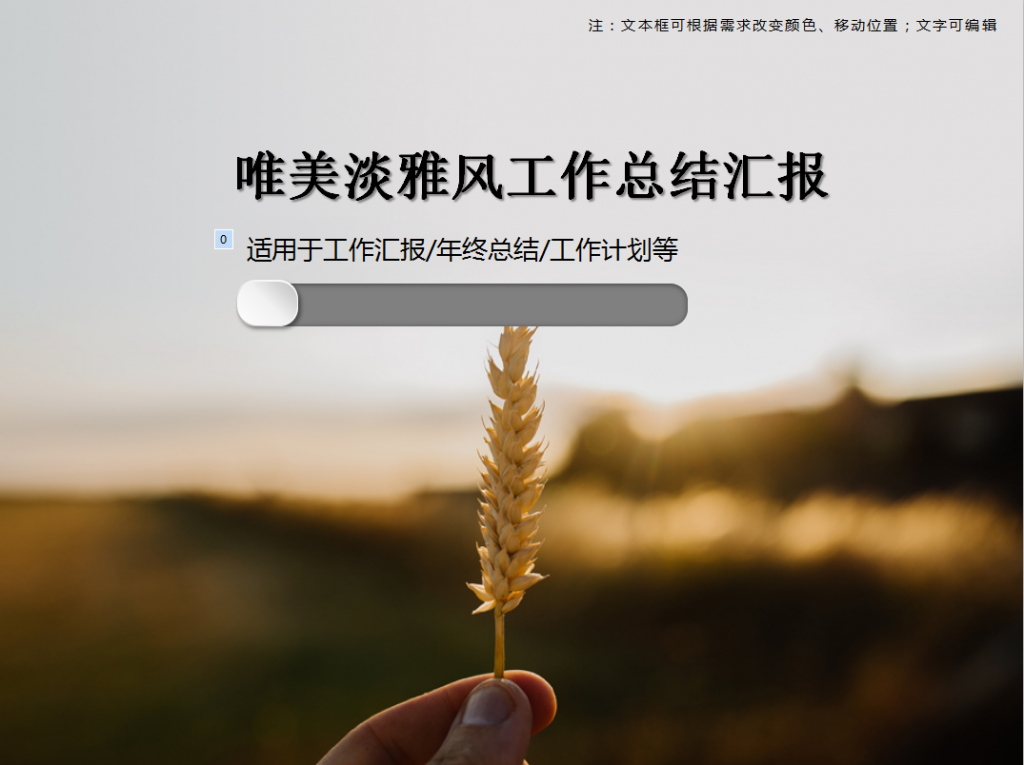 唯美淡雅风工作总结汇报PPT模板插图