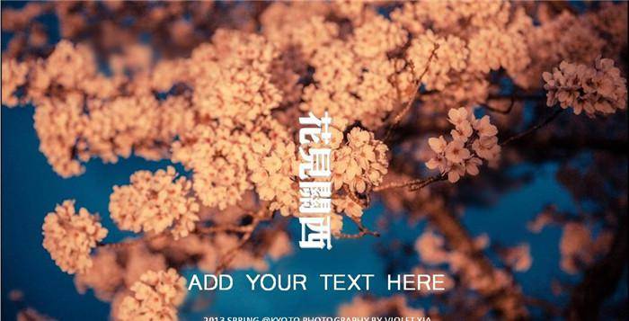 花间闗西樱花ppt插图