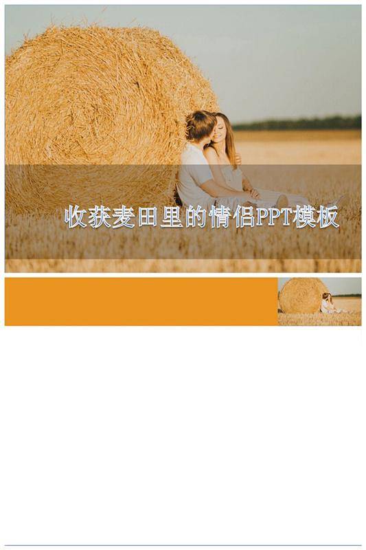 收获麦田里的情侣PPT模板插图