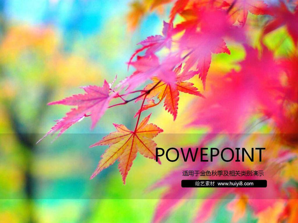 秋之枫叶ppt模板插图
