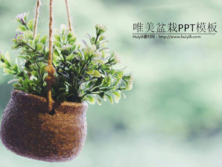 唯美盆栽ppt模板插图