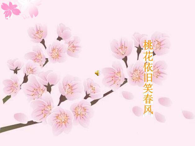 动态的桃花PPT模板插图