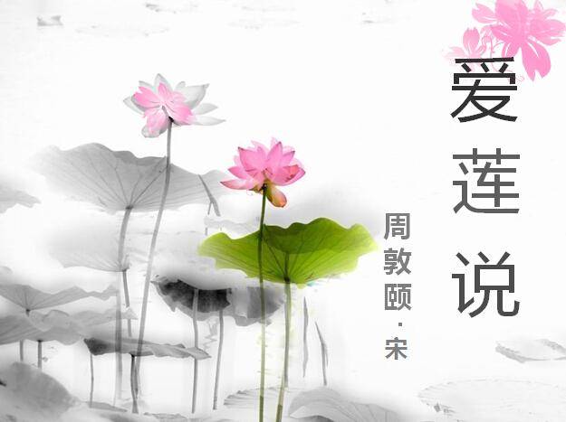 爱莲说动态PPT课件插图