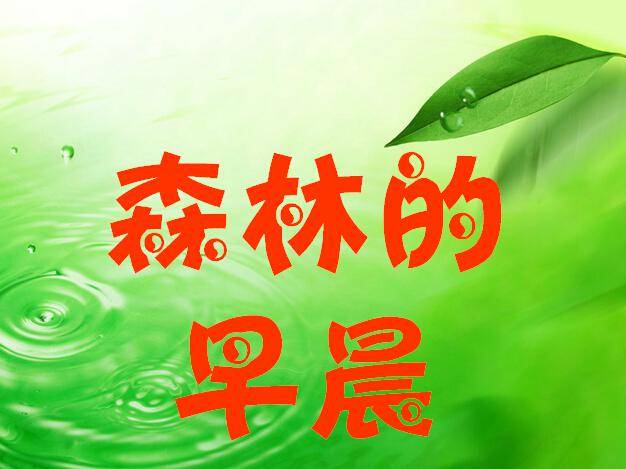 《森林的早晨》课件PPT动画插图