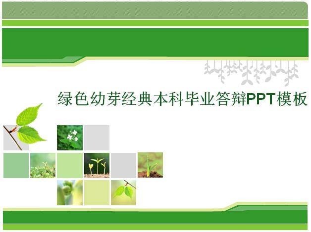 绿色幼芽经典本科毕业答辩PPT模板插图