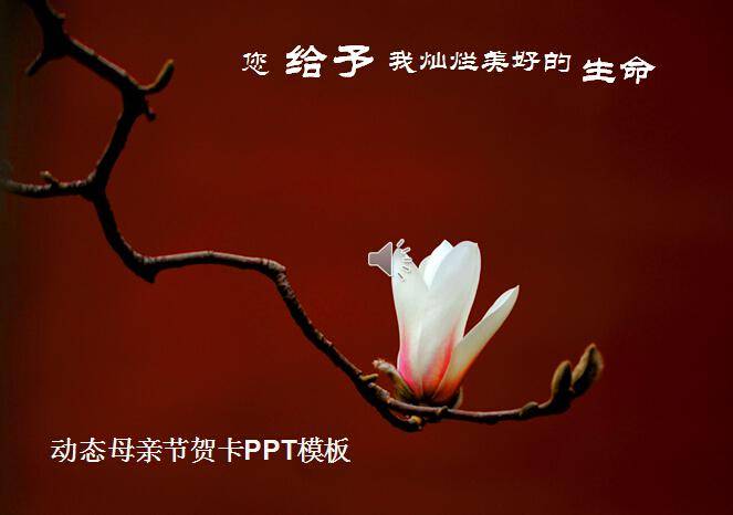 动态母亲节贺卡ppt模板插图