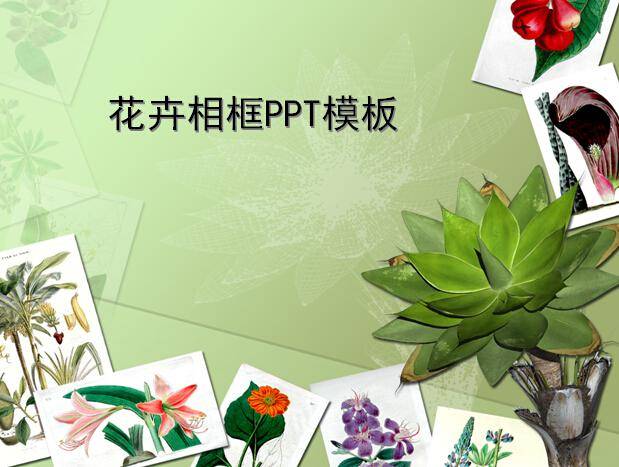 花卉相框PPT模板插图