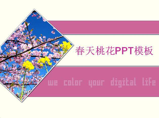 春天桃花PPT模板插图