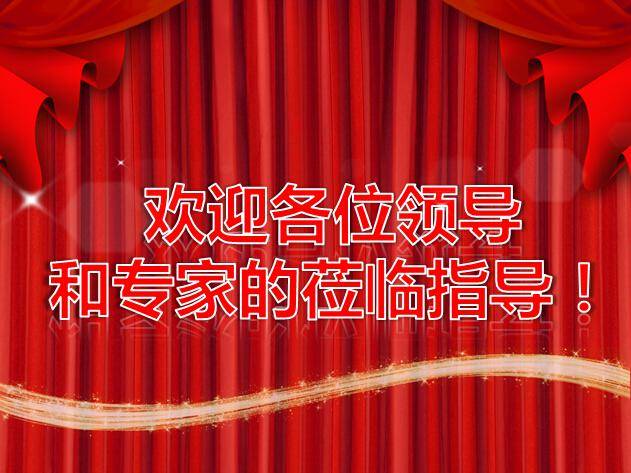 金华烟草局安全大检查工作报告ppt模板插图