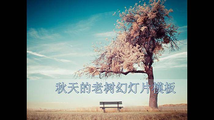 秋天草原老树背景PowerPoint模板插图