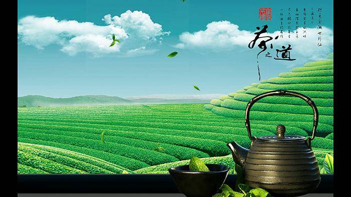 清新茶道PPT模板插图