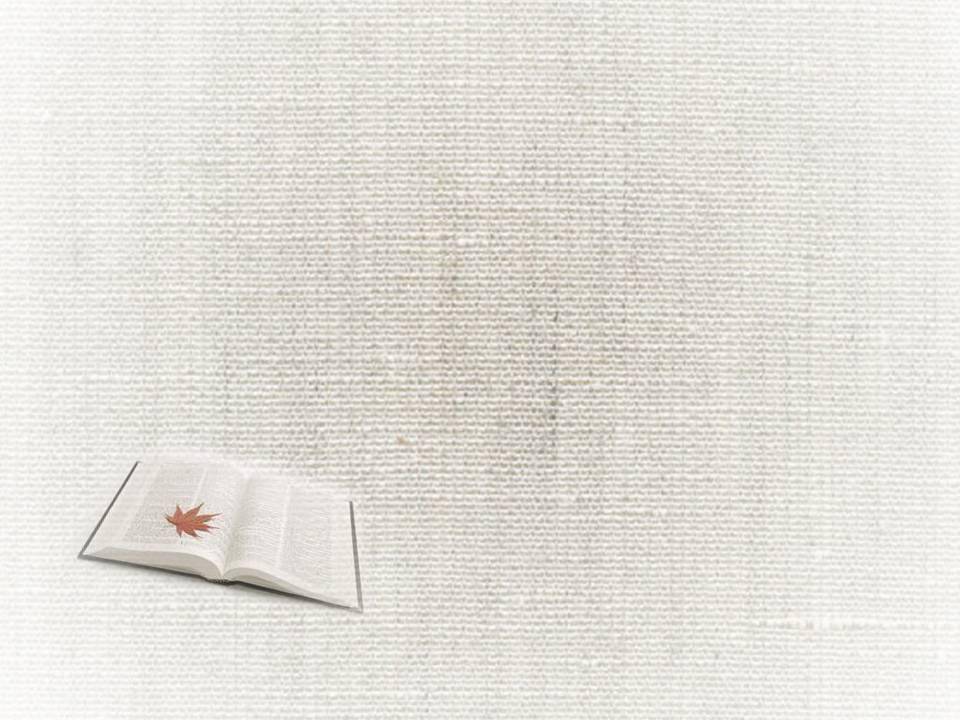 简洁白色书本课本幻灯片背景模板插图