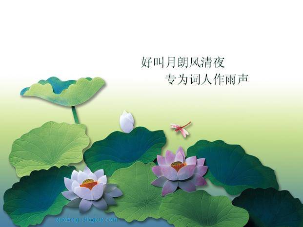 中秋节荷花ppt模板插图