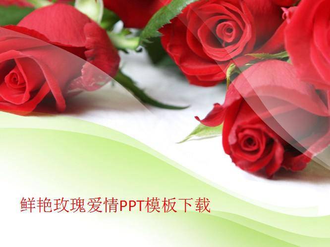 鲜艳玫瑰爱情PPT模板插图