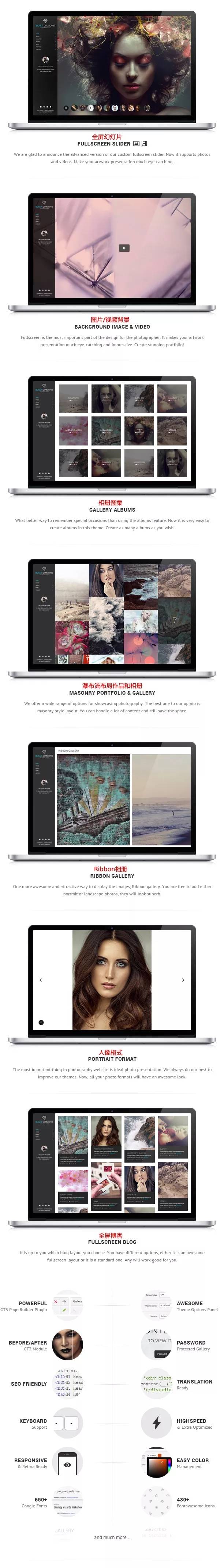 wordpress主题响应式全屏摄影相册模版Diamond v2.4.7汉化优化整站版插图