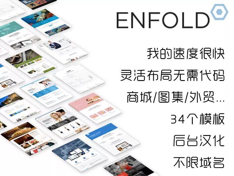 极速简单的wordpress主题enfold V4.8.1 主题汉化版含教程插图
