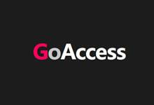 GoAccess实现服务器日志实时可视化分析工具 部署和功能体验