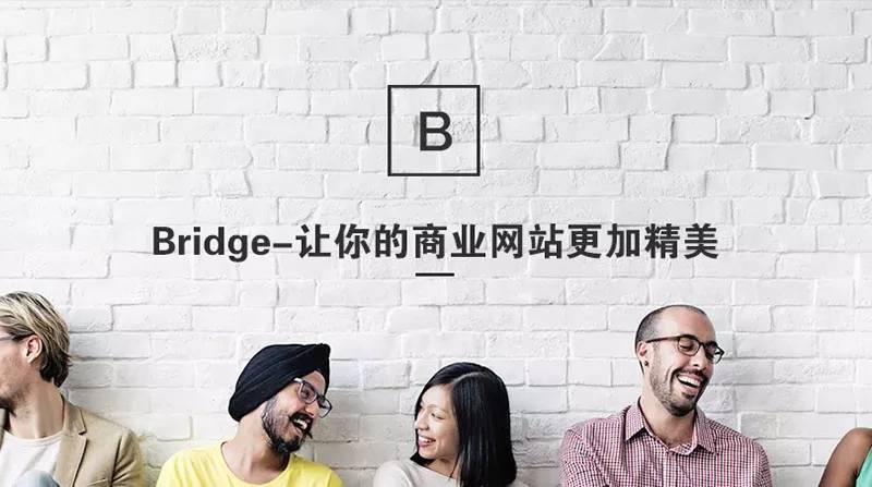 WordPress响应式拖拽编辑html5响应式主题Bridge汉化主题插图