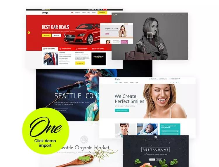 WordPress响应式拖拽编辑html5响应式主题Bridge汉化主题插图2