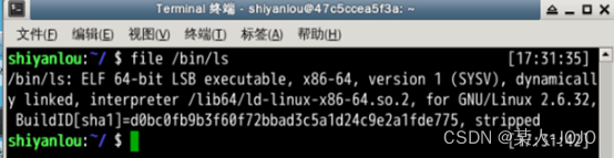 我的Linux学习记录（蓝桥）插图17