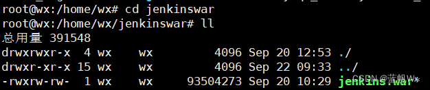 【linux学习记笔】以war包安装部署Jenkins插图2