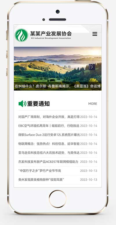 产业发展协会政府协会网站源码pbootcms模板插图