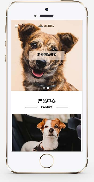 宠物商店宠物装备类网站pbootcms模板插图