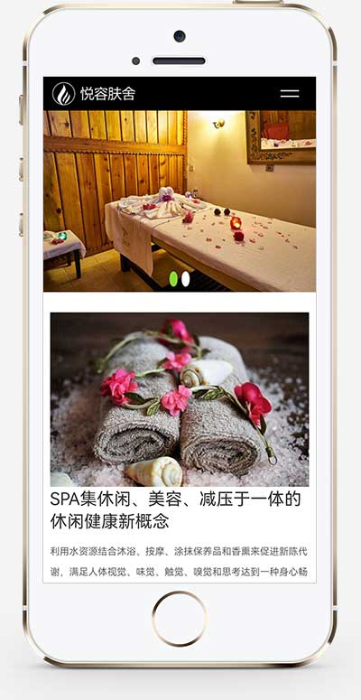 HTML5响应式美容美体养生会所类网站源码pbootcms模板插图
