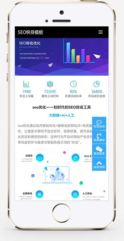 SEO快排IT网络软件公司网站源码pbootcms模板插图