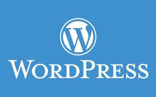 WordPress评论系统优化：防止垃圾评论轰炸插图