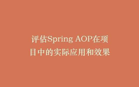 评估Spring AOP在项目中的实际应用和效果