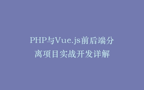 PHP与Vue.js前后端分离项目实战开发详解