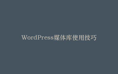 WordPress媒体库使用技巧与最佳实践
