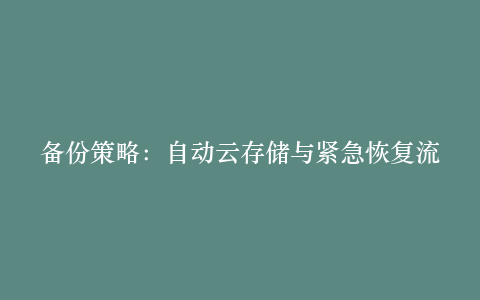 备份策略:自动云存储与紧急恢复流程