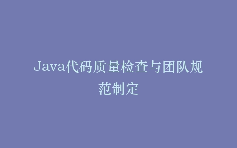 Java代码质量检查与团队规范制定