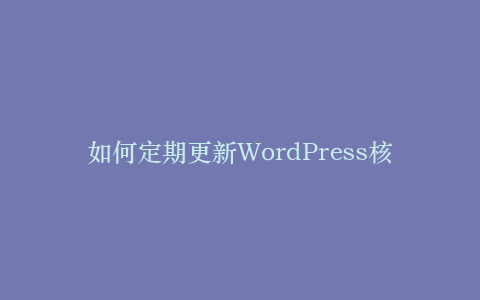 如何定期更新WordPress核心、主题和插件以避免漏洞