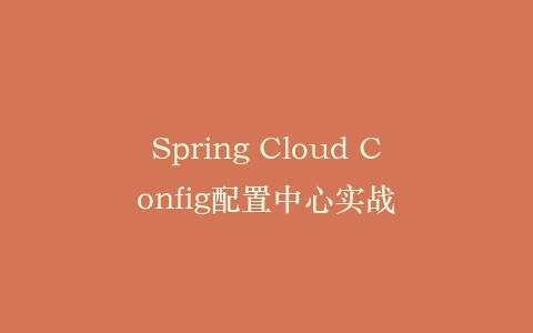 Spring Cloud Config配置中心实战插图