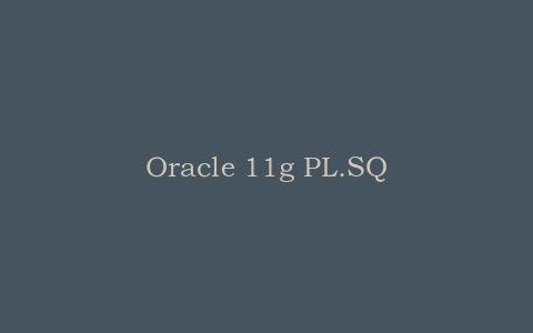 Oracle 11g PL.SQL系列培训视频【27集】_数据库教程