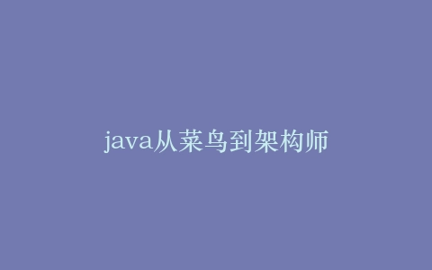 java从菜鸟到架构师