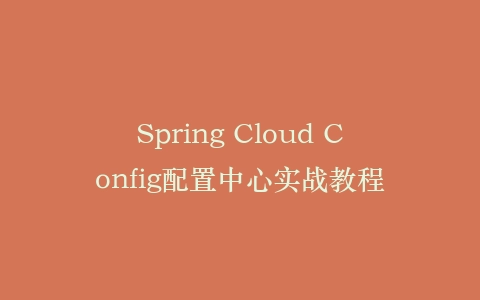Spring Cloud Config配置中心实战教程插图