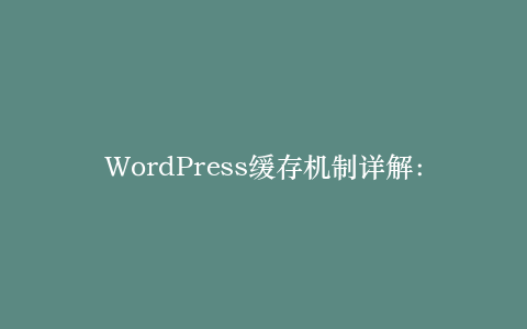 WordPress缓存机制详解:对象缓存与页面缓存的实现