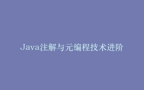 Java注解与元编程技术进阶