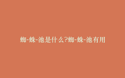 蜘-蛛-池是什么?蜘-蛛-池有用吗?