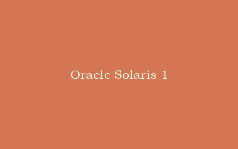 Oracle Solaris 11 系统管理文档合集_操作系统教程