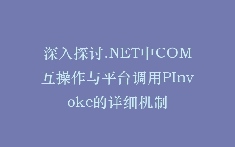 深入探讨.NET中COM互操作与平台调用PInvoke的详细机制插图