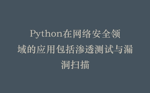 Python在网络安全领域的应用包括渗透测试与漏洞扫描插图