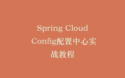 Spring Cloud Config配置中心实战教程插图