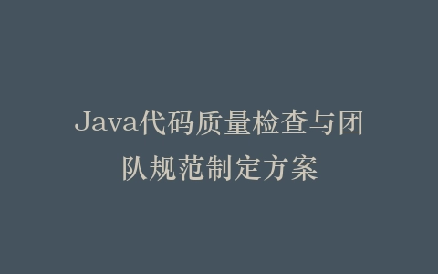 Java代码质量检查与团队规范制定方案插图